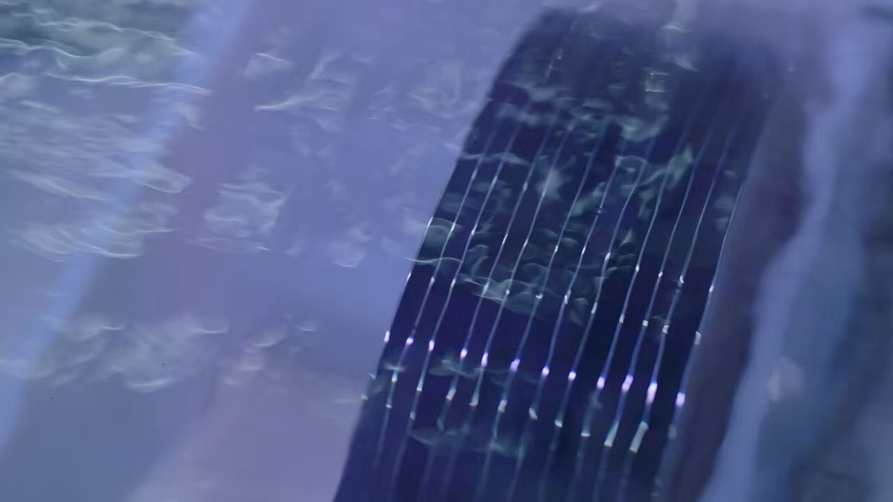 1775549481948790b6iM.jpg 1.jpg